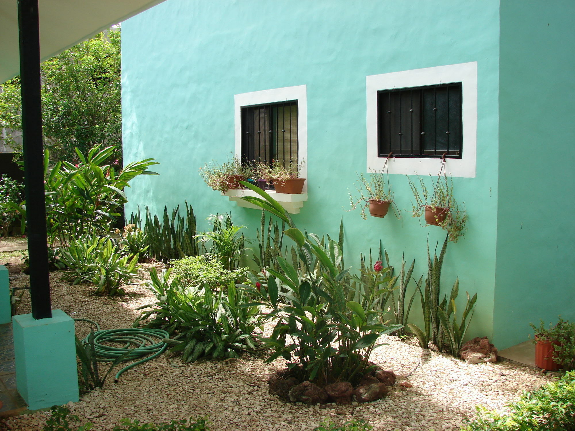 Green Forest Of Coco Beach Studios Playas del Coco Exterior foto